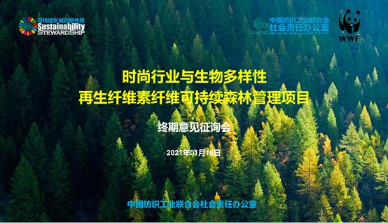 绿色低碳理念融入足球产业链，推动行业可持续发展的简单介绍