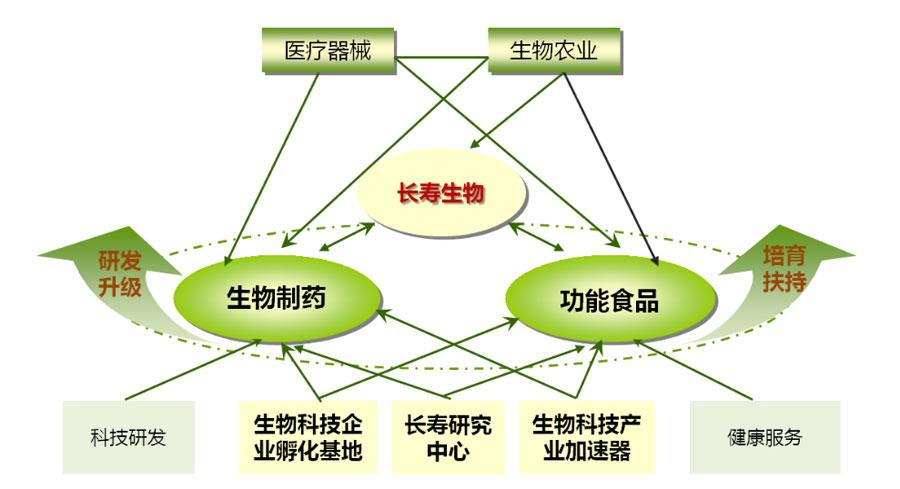 开云体育安全平台-包含“足球+生态”产业融合发展新规划在全国多省发布，产业生态逐步完善的词条