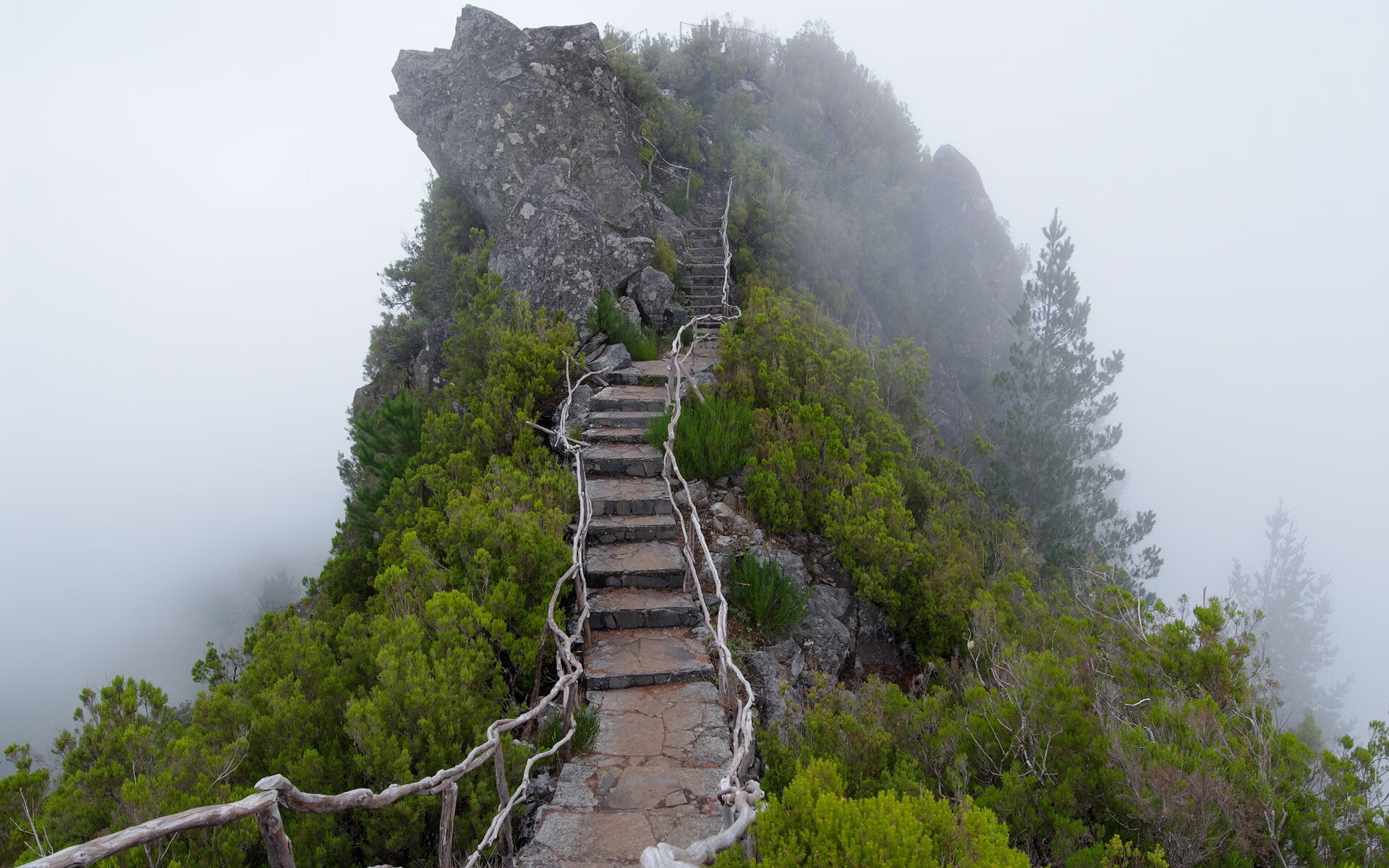 开云app安全认证-雷恩客场取胜第戈德，排名升至积分榜第三，雷恩足球