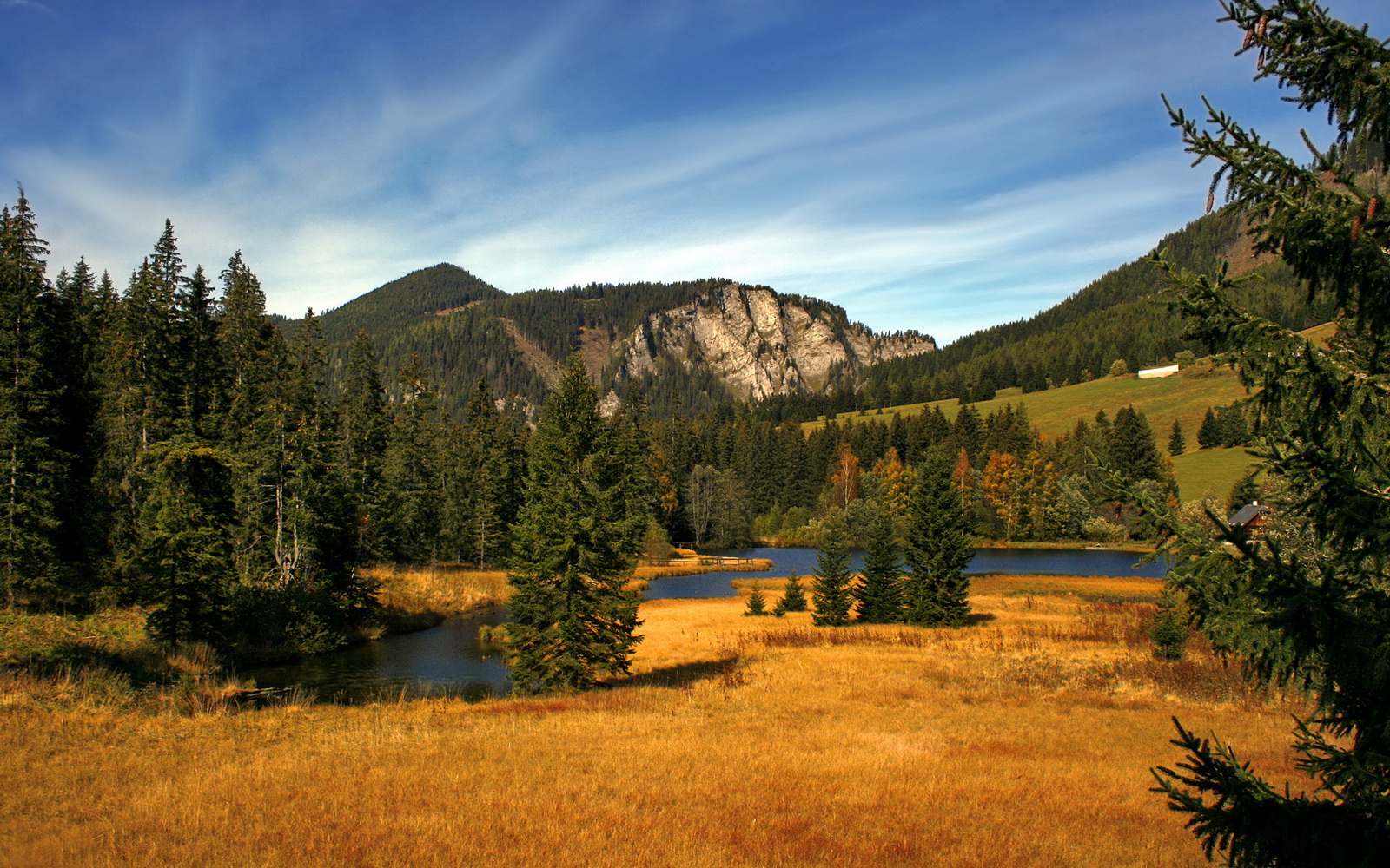 开云娱乐-阿森纳新星不断涌现，球队逐渐走向复苏
